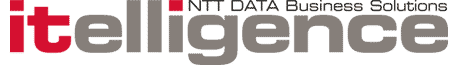 itelligence · NTT DATA